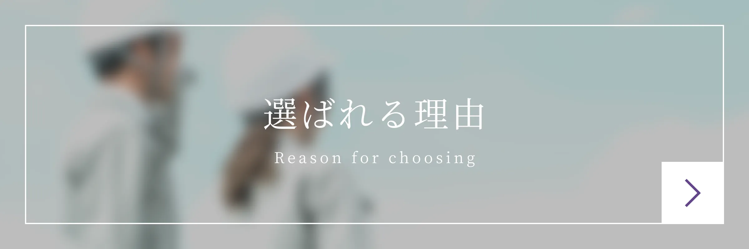 選ばれる理由