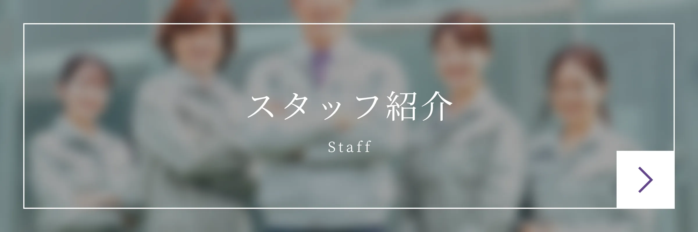 スタッフ紹介